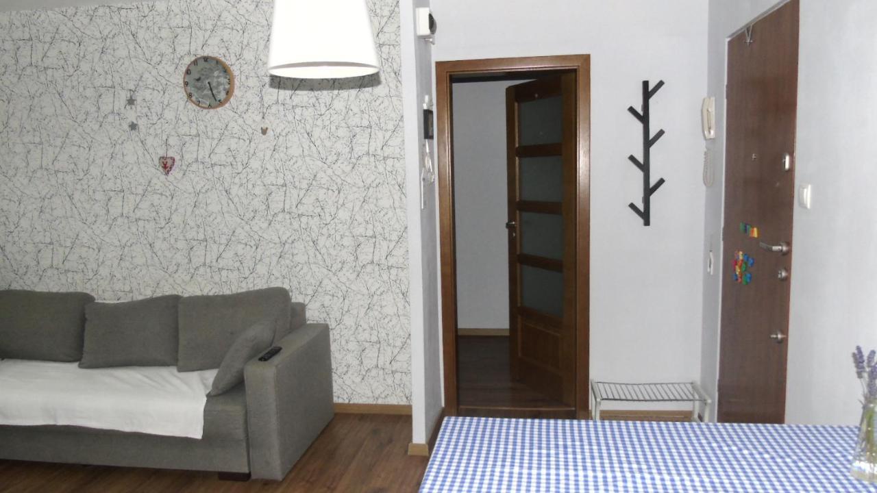 Apartament Aleksander Ciechocinek Exterior foto